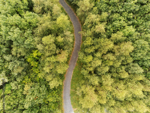 Path in a green forest, aerial top view,