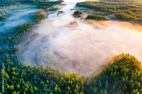 Magical morning in green forest, aerial landscape. Fog over trees © korsarid