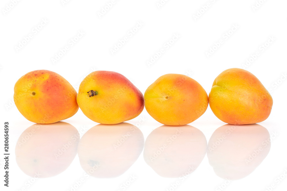 Group of four whole fresh orange apricot in a row isolated on white background Group of four whole fresh orange apricot in a row isolated on white background