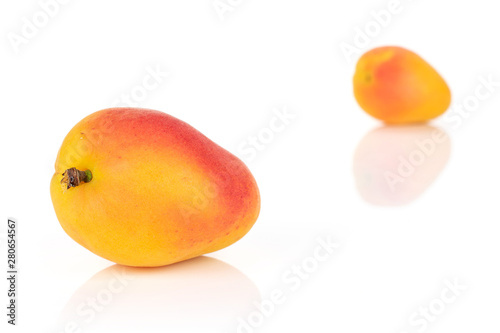 Group of two whole fresh orange apricot one is in the front isolated on white background