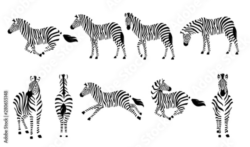 Set of african zebra side and front view outline striped silhouette animal design flat vector illustration isolated on white background