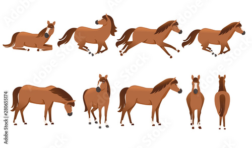 Set of brown horse wild or domestic animal cartoon design flat vector illustration isolated on white background