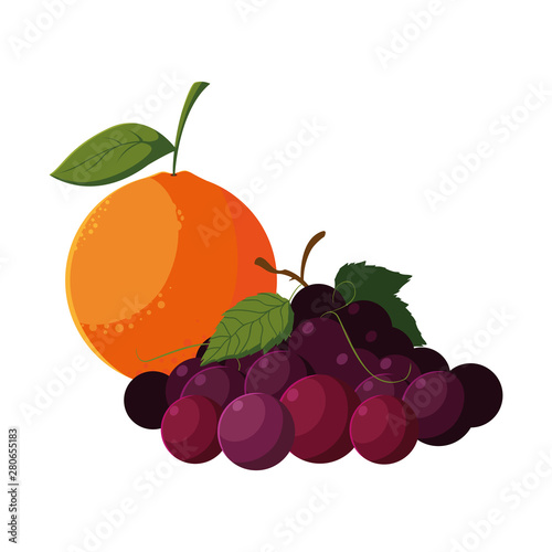 fresh fruits orange and grapes