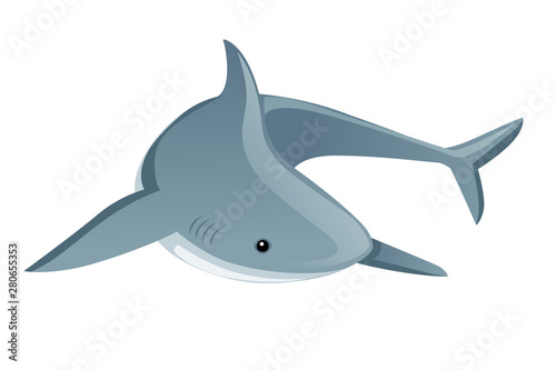 Shark giant apex predator cartoon animal design flat vector illustration isolated on white background