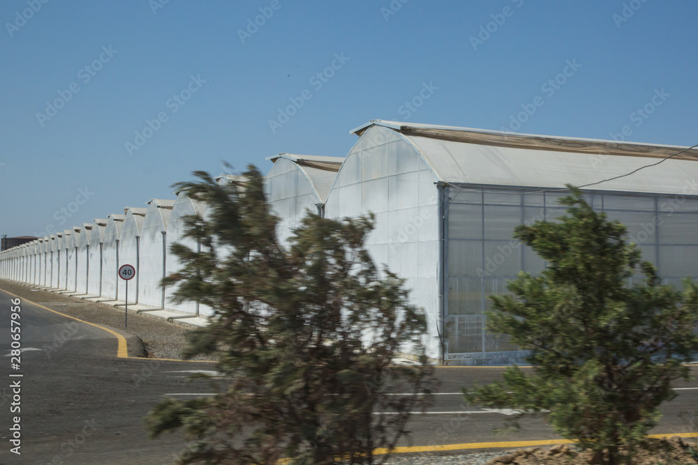 Fototapeta premium White green house on blue sky background. Plants crop in greenhouse. Greenhouses greenhouses glass seedlings of flowers and plants the nature .