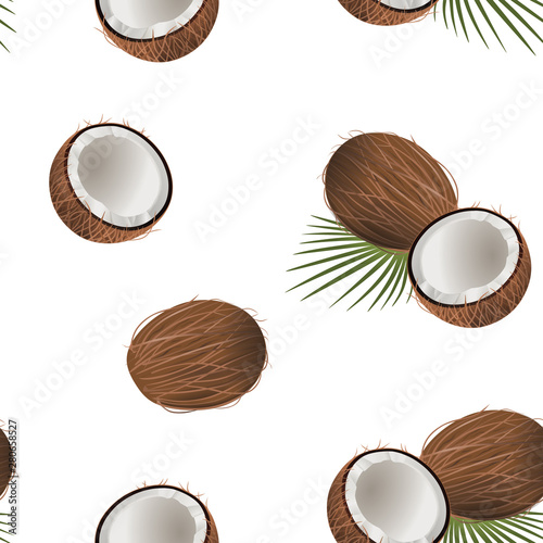 coconuts seamless pattern vector