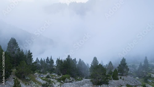 Les Laquettes, Reserve Naturelle de Neouvielle, Occitaine, France, Europe photo