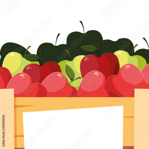 fresh fruits apples in wooden basket