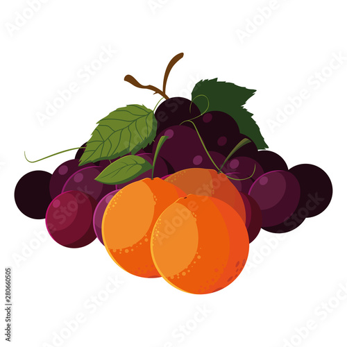 fresh fruits grapes and orange