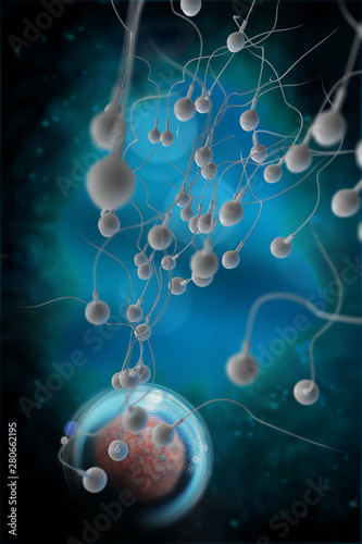 Sperm and Egg 3D Illustration photo