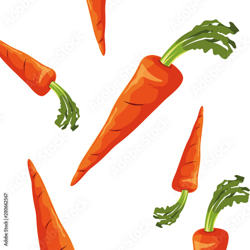 carrots fresh vegetable white background