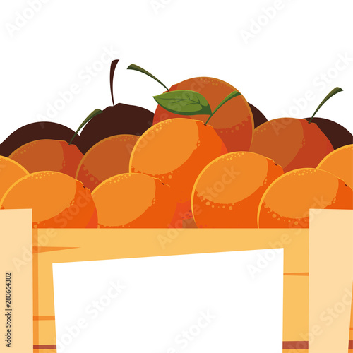fresh fruits in wooden basket oranges
