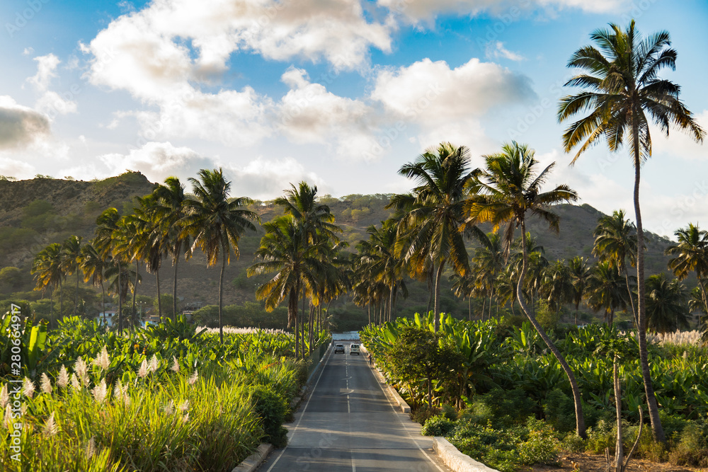 Coconut, banana, and sugar canne plantation near Achada Fazenda in Santiago Island  in Cape Verde - Cabo Verde