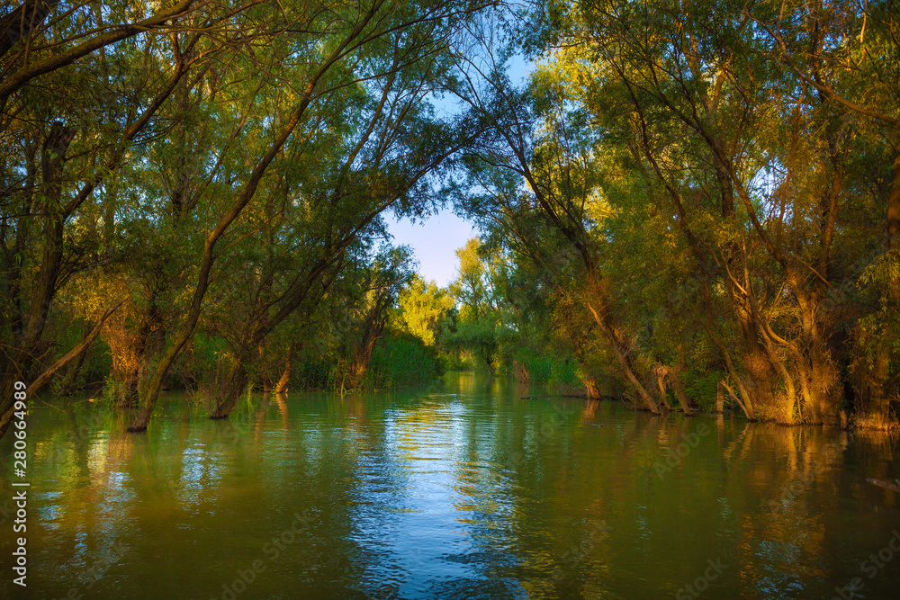 Fototapeta premium Beautiful areas of the Danube Delta unique landscape at sunset