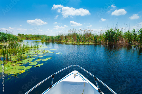Φωτογραφία Beautiful water lilly and reed landscape in Danube Delta, Romania