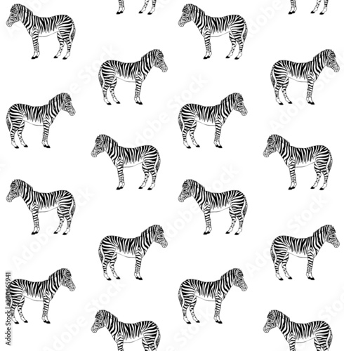 Vector seamless pattern of black ink hand drawn doodle sketch zebra animal standing isolated on white background