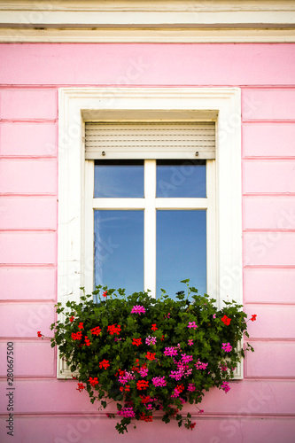 Vintage traditional glass window decorated with white wood frame and with hanging pink and red petunias in the pink facade of a countryside house. © fewerton