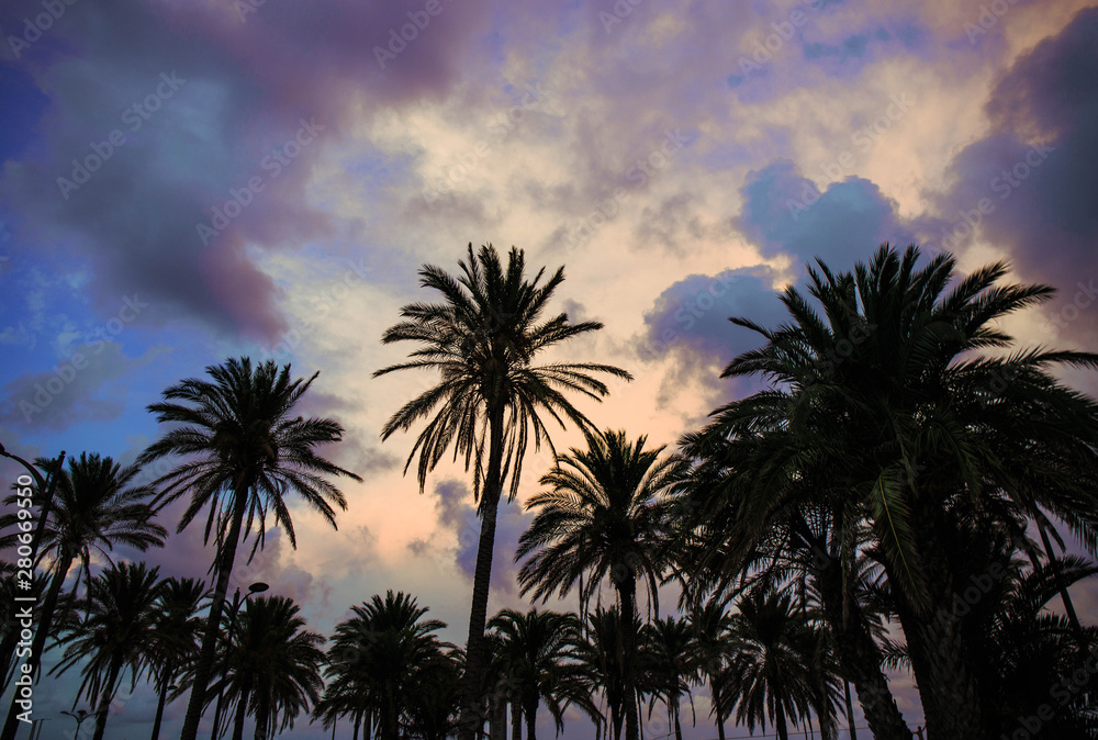 Colourful evening clouds on a beach with palmtrees in the foreground.