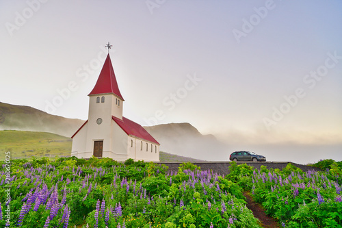In the morning church surrounded by blooming lupine flowers,Vik i Myrdal Church, Vik, Iceland