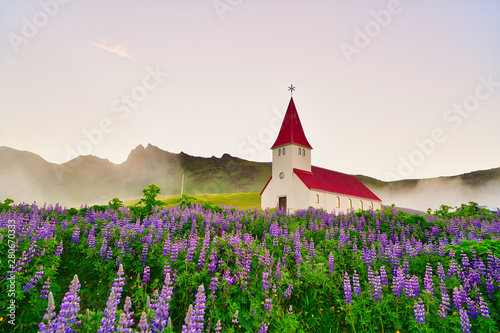 In the morning church surrounded by blooming lupine flowers,Vik i Myrdal Church, Vik, Iceland,
