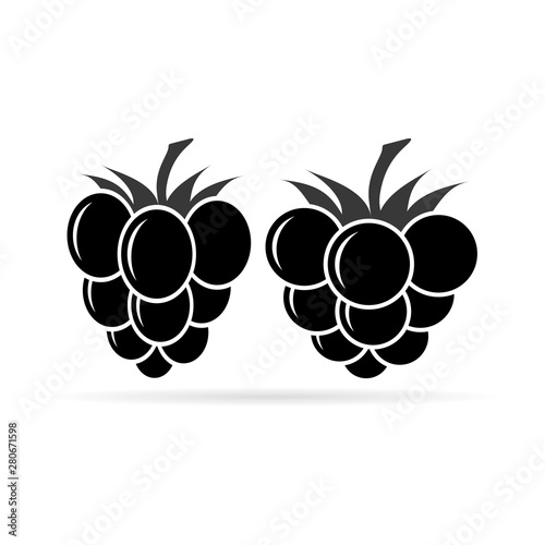 Raspberries icon. Berry set. Fruit collection. Raspberries on white background. Blackberry and cloudberry. Vector illustration.