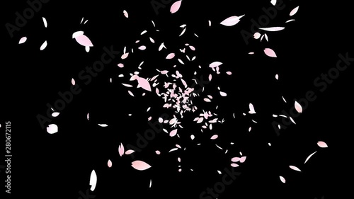 ループ 奥 中央 桜 花びら アルファチャンネル
