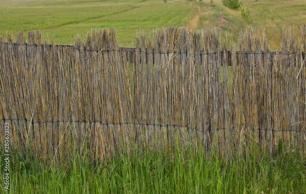 Fototapeta premium fence made of thin wooden rods in daylight