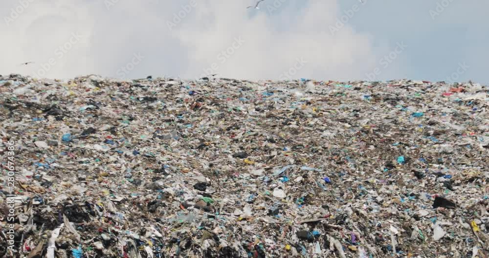 Trash, litter, rubbish in landfill on sky background. Birds are flying ...