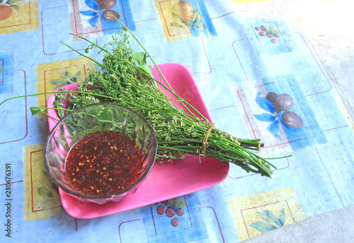 Siamese neem tree Vegetables, herbs for health,thaiiland photo