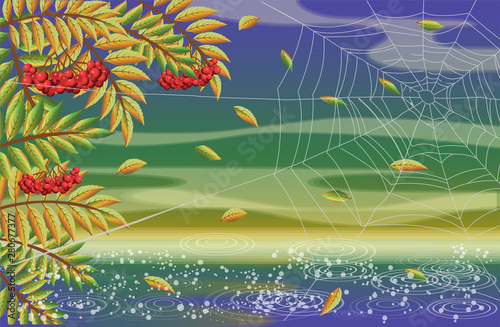 Autumn nature wallpaper with rowan berries and spider web, vector illustration
