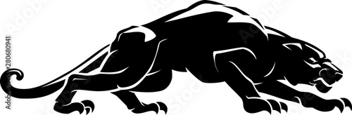 Black Panther Crouching Shadow