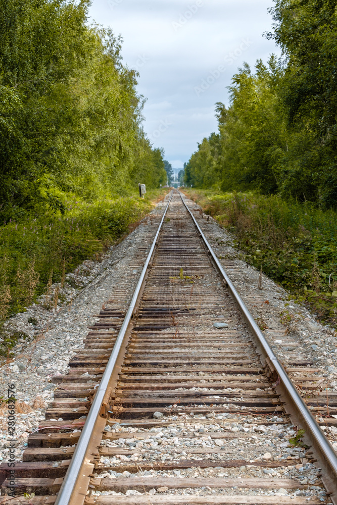 dense green forest under cloudy blue sky with a railroad run through the centre lead to far end.