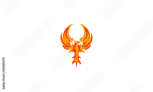 phoenix bird logo vector icon