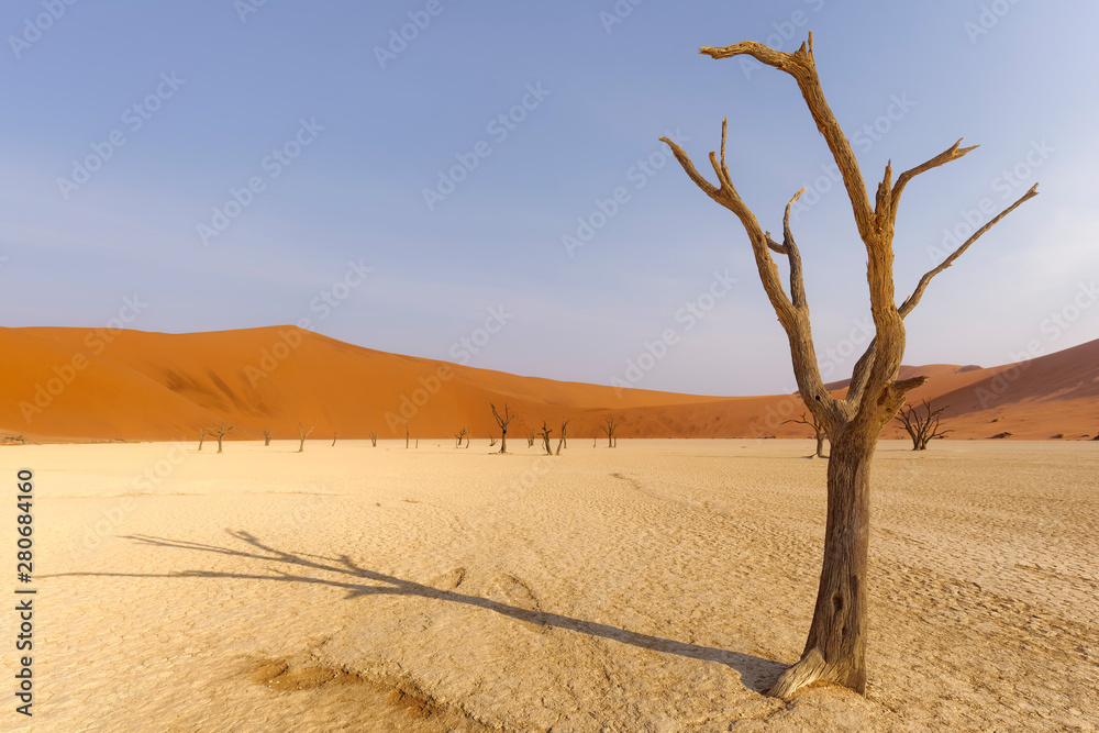 Dead tree in Deadvlei, Namib-Naukluft National Park, Namibia Dead tree in Deadvlei, Namib-Naukluft National Park, Namibia