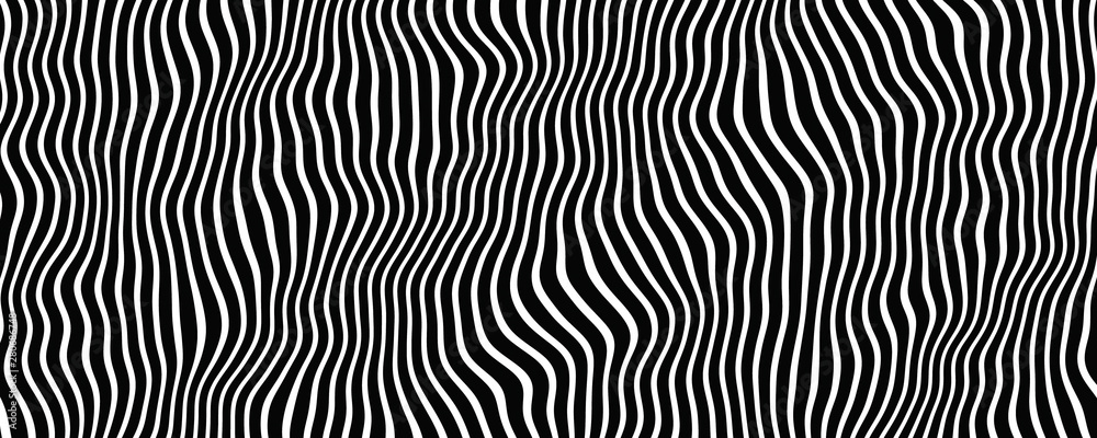 Zebra pattern black and white stripe background texture Zebra pattern black and white stripe background texture