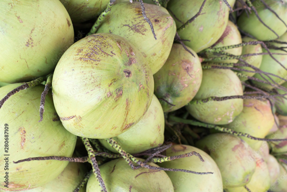Many green coconuts full of background, is the fruit of Thailand. Many green coconuts full of background, is the fruit of Thailand.