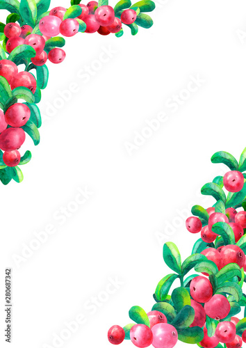 Ripe berry cowberry on white background is isolated. The frame is of vertical orientation. Watercolor illustration.