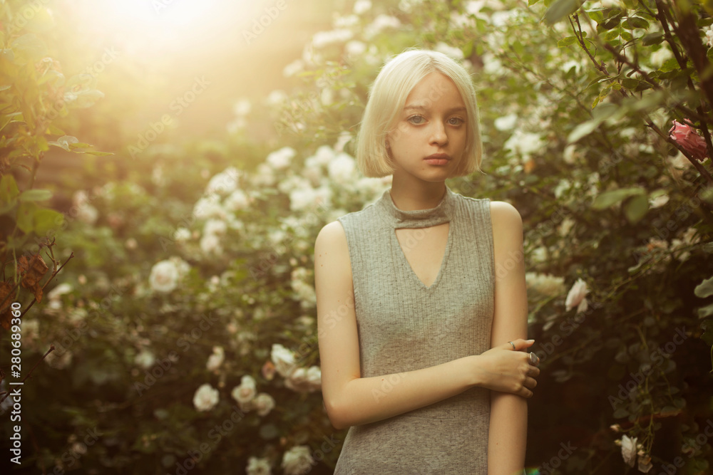 Portrait of beautiful young girl in white roses. Blond platinum girl with fair complexion. Sunset backlight. Image with selective focus and toning Portrait of beautiful young girl in white roses. Blond platinum girl with fair complexion. Sunset backlight. Image with selective focus and toning