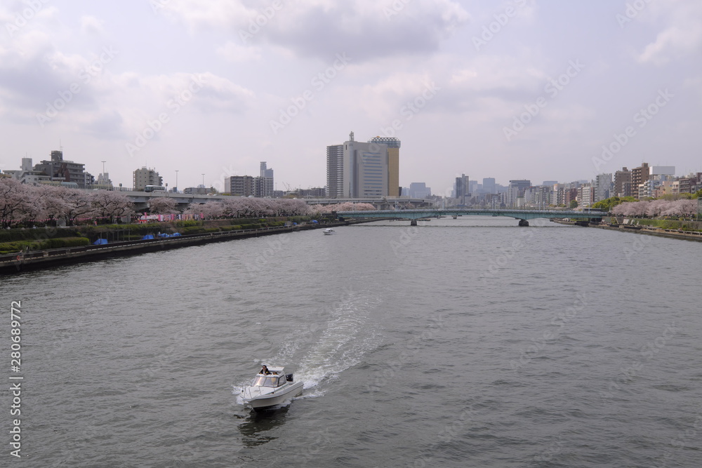 隅田川と桜とボートの風景