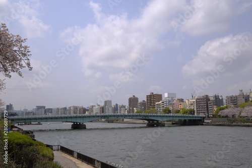 隅田川と桜と橋の風景
