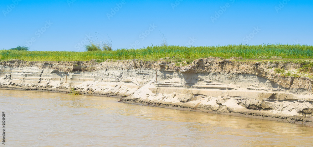 green wheat fields on the bank of river indus