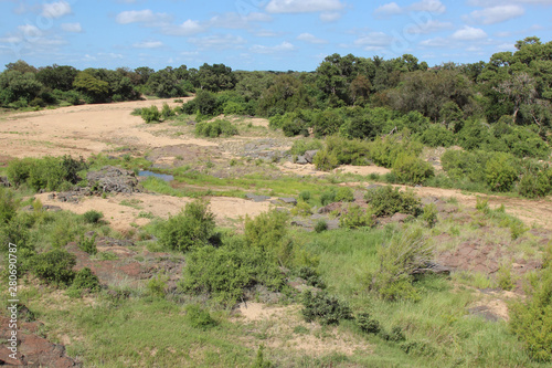 Timbavati River   Timbavati River  