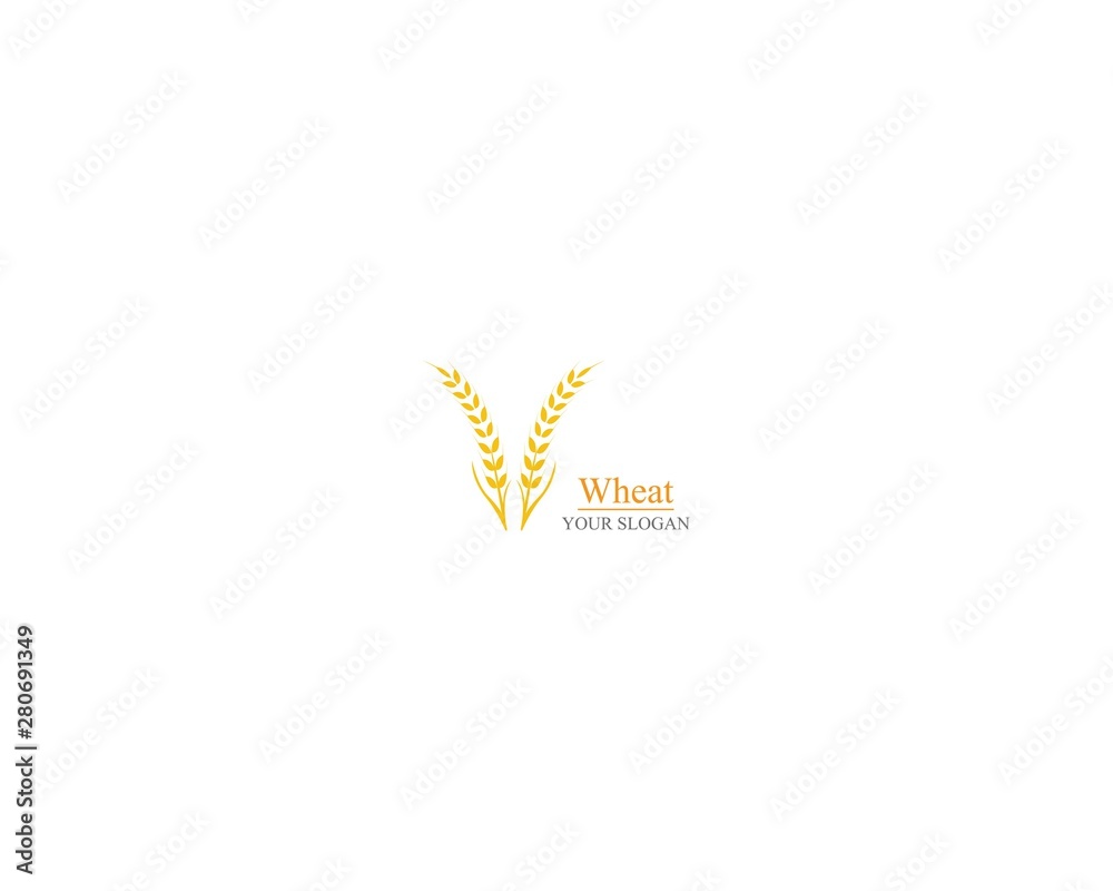 Agriculture wheat Logo Template vector icon design