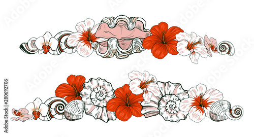 Composition of sea shells and exotic flowers, shells and hibiscus, vector illustration