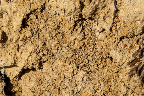 dry clay soil