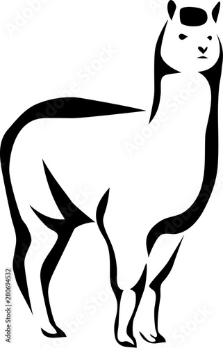 Alpaca - stylized black and white vector illustration