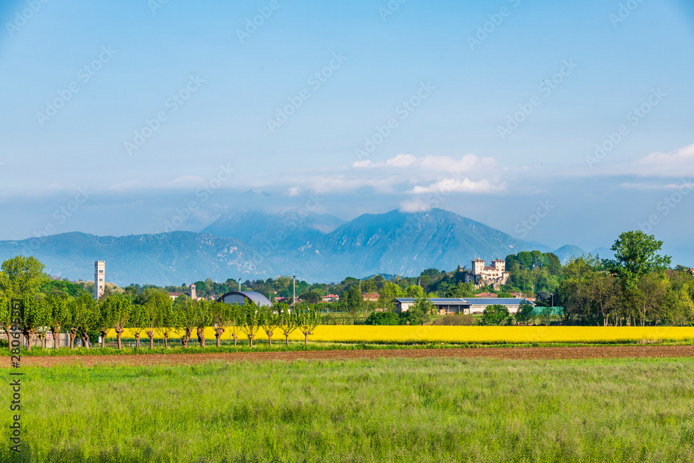 Yellow fields of rape on the hills of Friuli. Cassacco and its castle