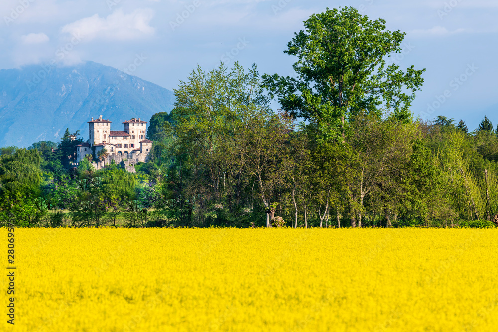 Yellow fields of rape on the hills of Friuli. Cassacco and its castle Yellow fields of rape on the hills of Friuli. Cassacco and its castle
