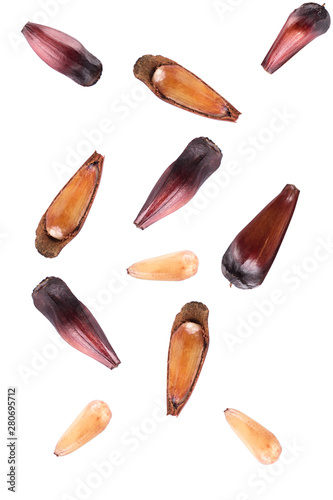 Brazilian Pinion fruit falling in white background	