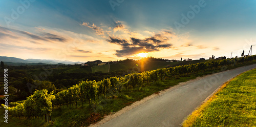 Austrian country road through fields of grapes in Styria
